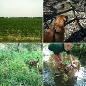 Exploring ohio