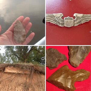 Sookeys finds