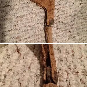 First hunt