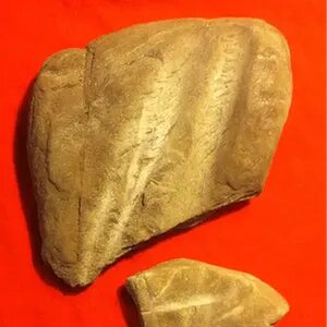 Finds