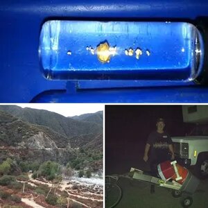 SGEF Out and About