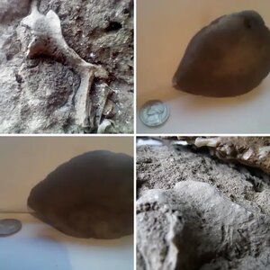 Indiana Creek finds