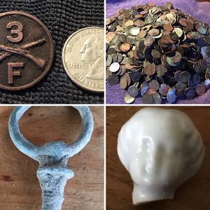 Silver Worm Finds