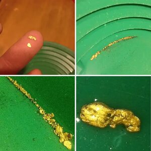 Gold...