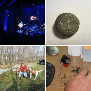 Misc pics