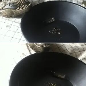 Fossils and replicas