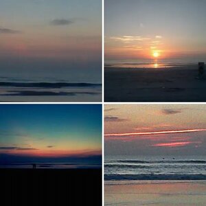 Metal Detecting Photos in Daytona Beach