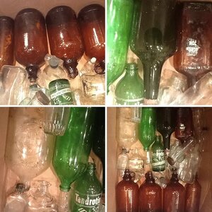 "First Finds" w/ our 5 children