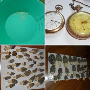 my finds