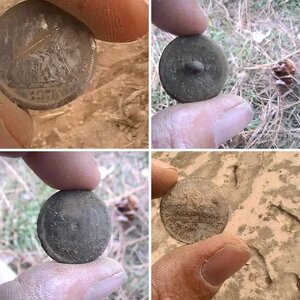 2013 Finds