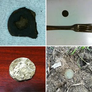 Md finds