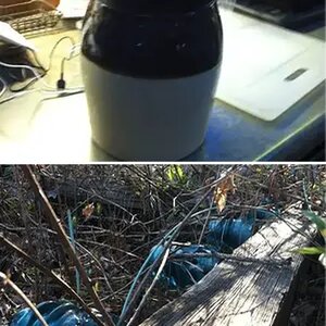Great finds