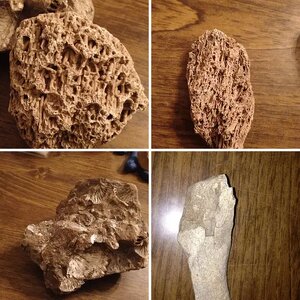 Fossils