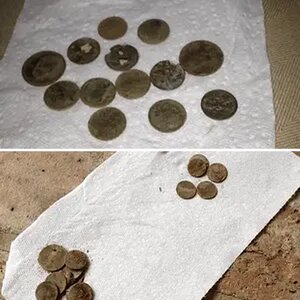 Coin spill found in back yard 6/25
