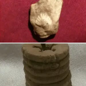 Fossils