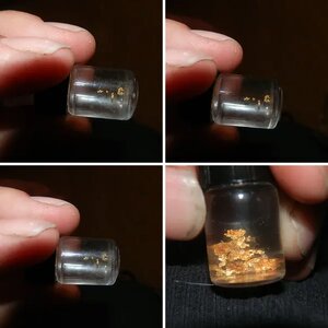 Golden-1