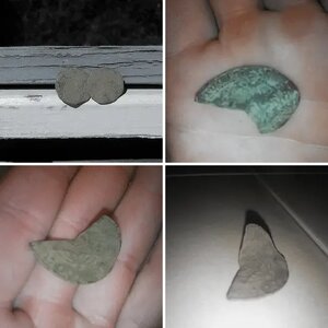 Late summer/Fall Findings