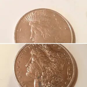 Dollar coin