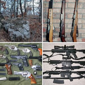firearms