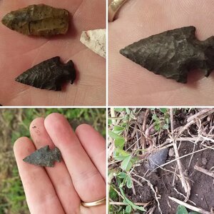 2013 Finds