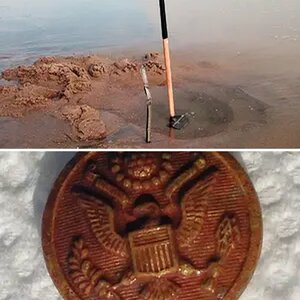 Beach finds