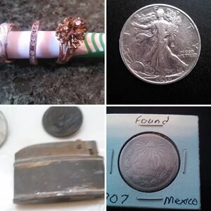 2013 Finds