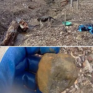 Geo Detecting Treasure Metal Detecting Geocaching Scavanger Hunting Treasure