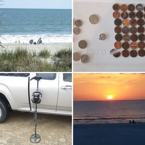 Detecting in Florida