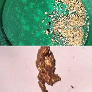 Gold Prospecting
