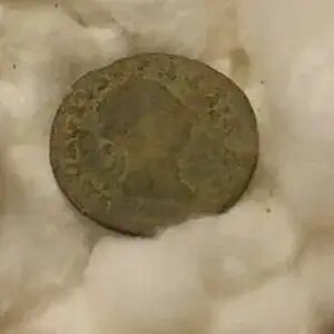 NJrelicgairls finds