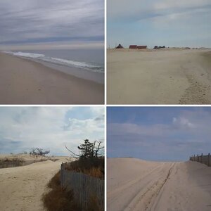 shore hunting
