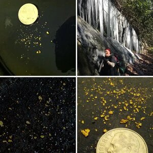 My finds