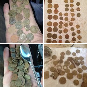 2013 finds