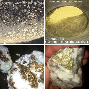"Gold Driller"