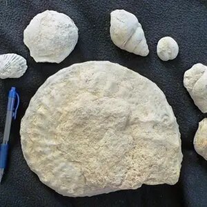 Rock Hounding