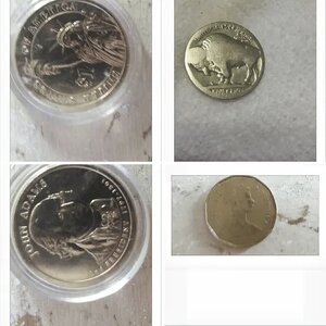 coins and other items pulled out of the ground