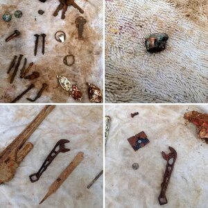 My finds