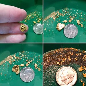 GOLD SHOTS