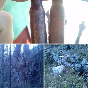 Peacefull Evening hunt