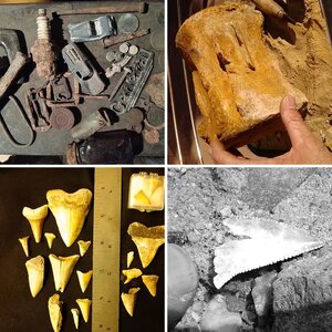 my finds