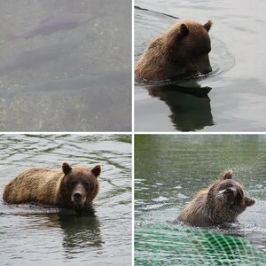 KAMCHATKA.