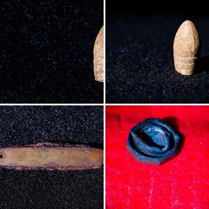 2015 Notable Finds