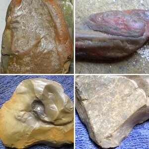 Lithic