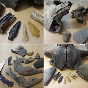 Prehistoric bison site