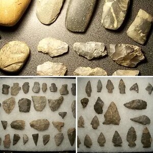 2015 finds