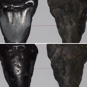 indian artifacts,topsail bch.,nc,,6/"15