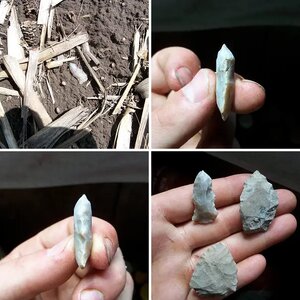 2016 artifact finds