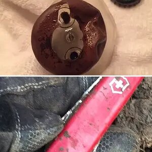 MISCELLANEOUS ITEMS