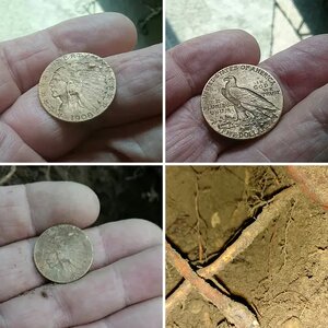 Gold coin