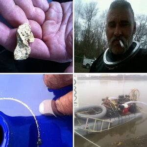 Nome Gold 2013